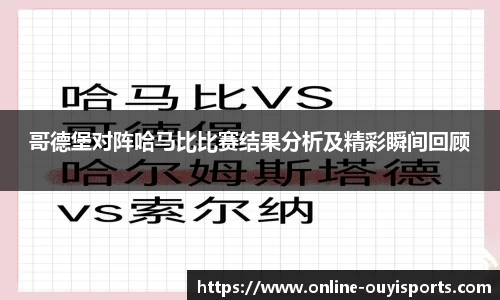 哥德堡对阵哈马比比赛结果分析及精彩瞬间回顾